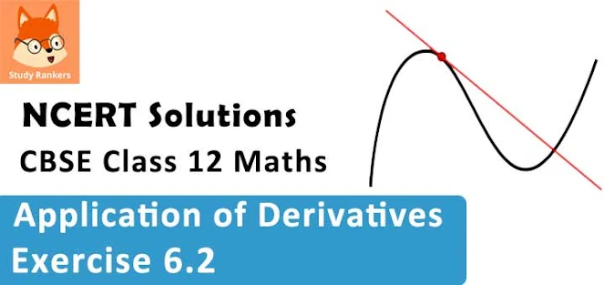 Class 12 Maths NCERT Solutions for Chapter 6 Application of Derivatives Exercise 6.2