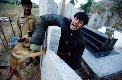 Canine Commandos Being Trained Seen On www.coolpicturegallery.us