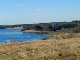 6 Family Things to do at Kielder - Guest Post by Rural Teacake, Lakeside Way