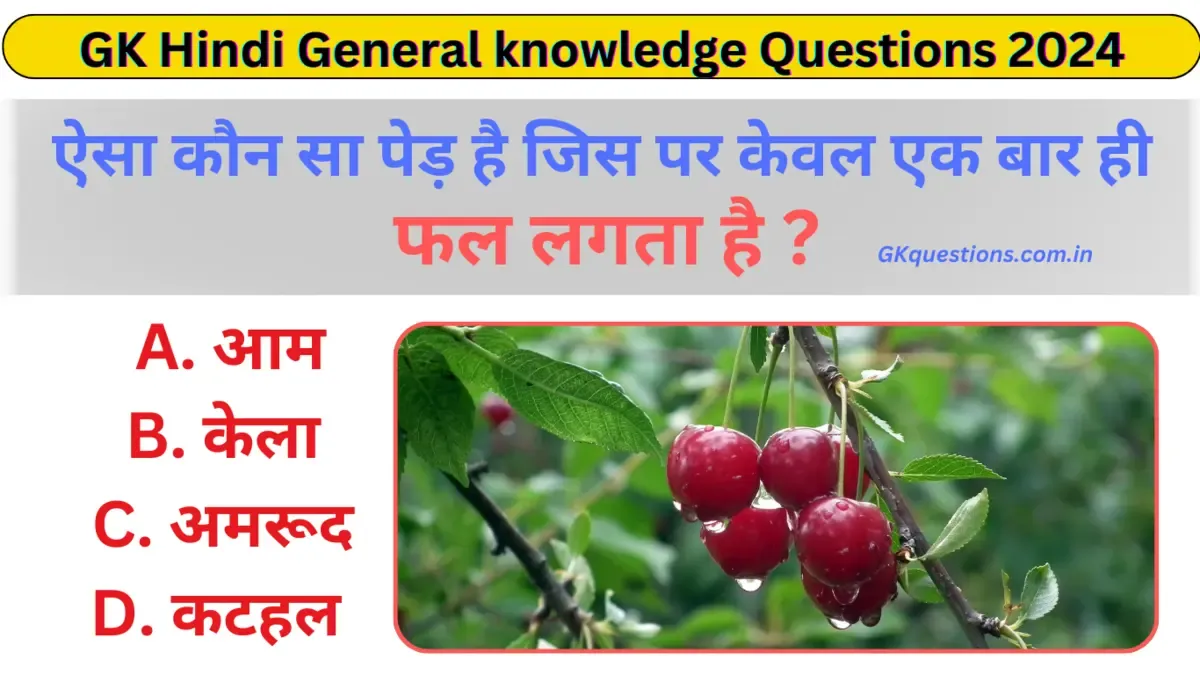 GK Hindi General knowledge Questions 2024