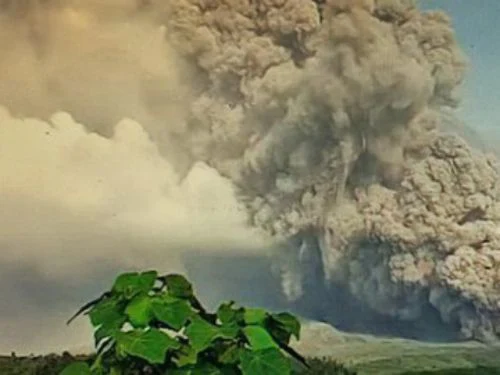 Update Erupsi Gunung Semeru: 2.489 Jiwa Mengungsi