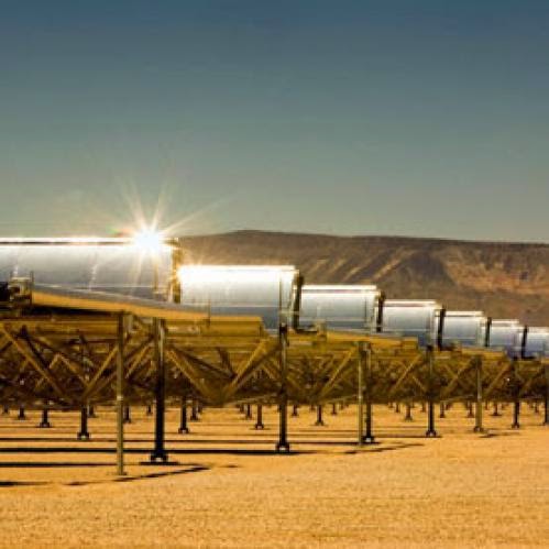 Another Algal Fuels Collaboration