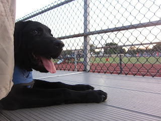 Coach is lying on the bleachers and the football team is seen in the distance through the chain link fence.