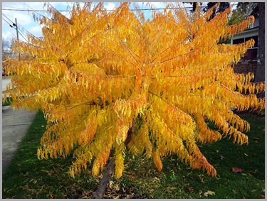 2012-10-20 14.23.28
