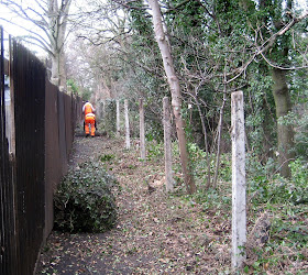 Railway path between West Wickham and Hayes: mesh fence being stripped out