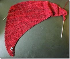 Cameo Shawl - Tart