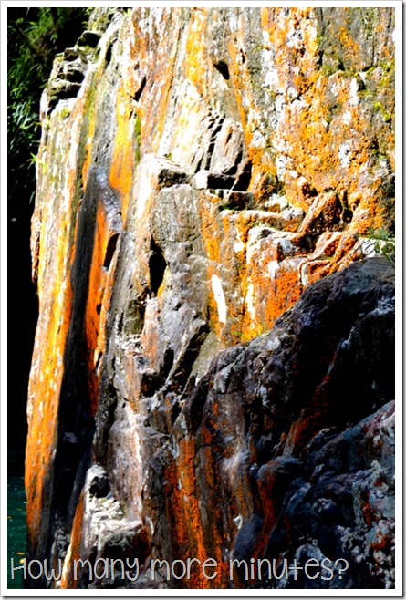 Finch Hatton Gorge | How Many More Minutes?