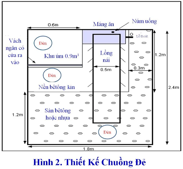 Thiết kế chuồng nái đẻ.