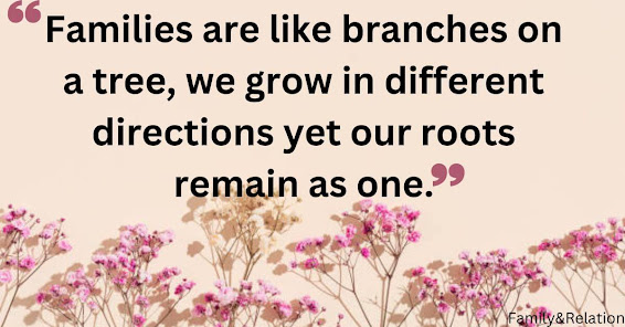 Top Best Family Quotes and Sayings