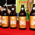 Cerveja de Umbu produzida pela Cooperativa de Canudos, Uauá e Curaçá, na Bahia será distribuída para todo o Brasil, em parceria com a Ambev
