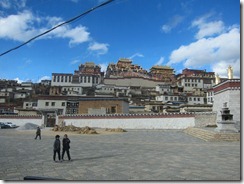 IMG_6829