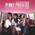Pinky Promise ( 2016 )