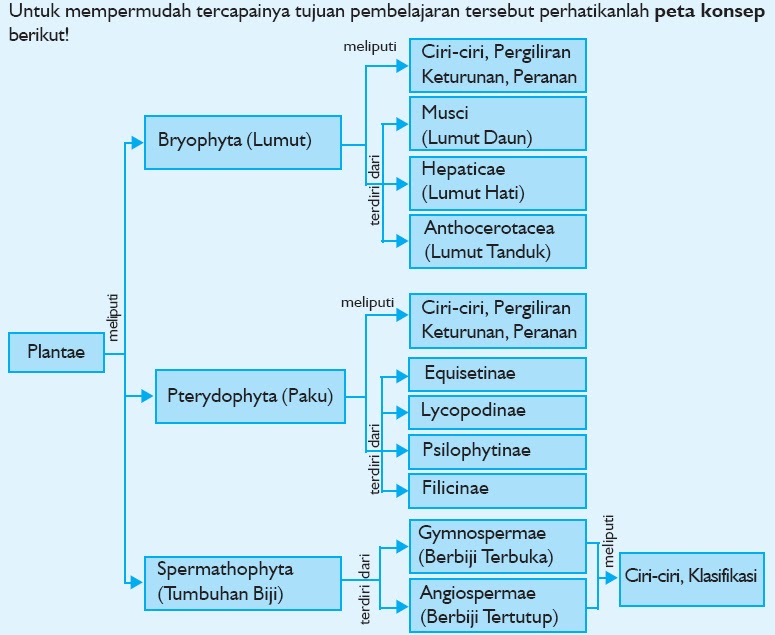 [plantae.bmp]