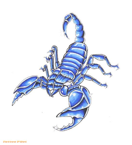 scorpion tattoo design. Scorpion Tattoo Designs