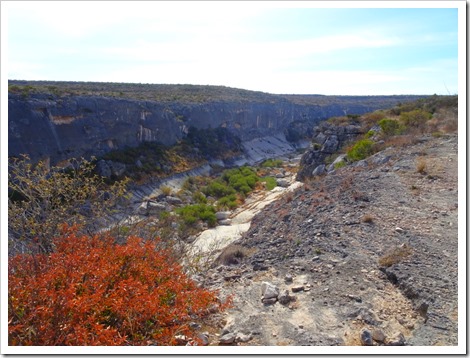Presa Overlook Trial
