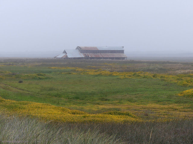 barn missing roof bits