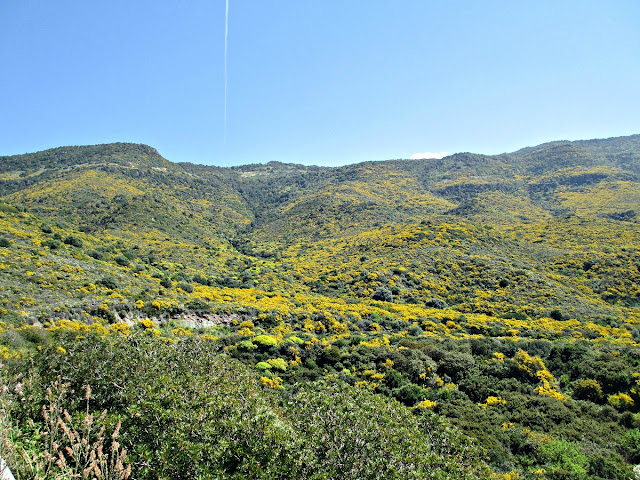 Primavera in Sardegna