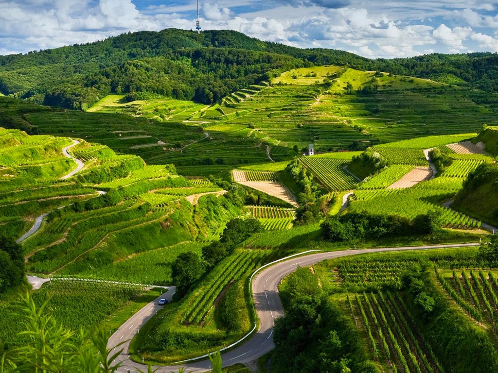 Wallpaper Pemandangan Kebun Tingkat Unik Dan Indah Terbaru