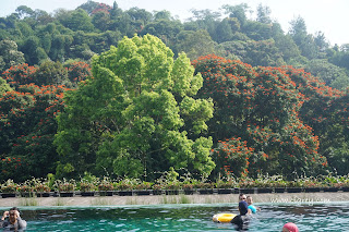 pengalaman di padma hotel bandung, bikin betah