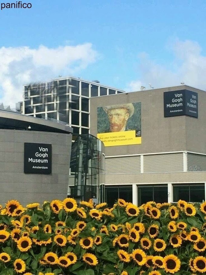 Подсолнухи в музее Ван Гога