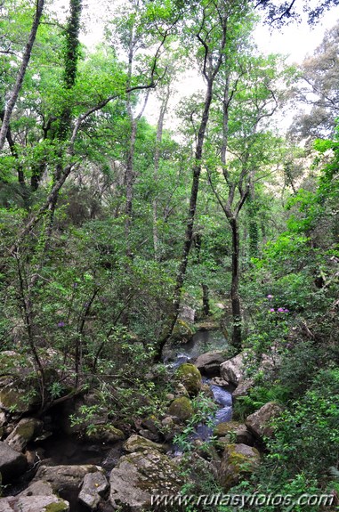 La Trocha - Rio de la Miel