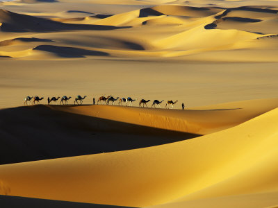 Dunes of Sahara Desert,