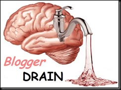 Blogosphere-Housewives-Social Commnetary 1