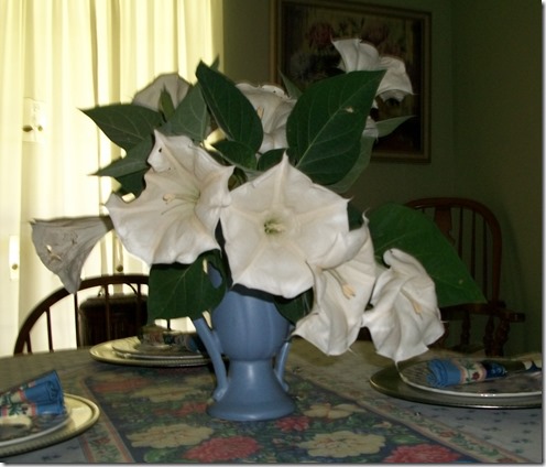 moonvine and lilies 015