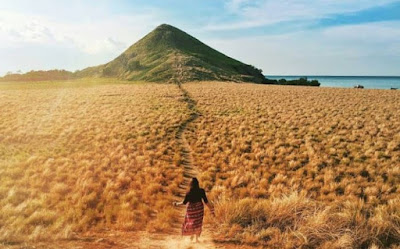Keindahan Sabana di Pulau Kenawa NTB