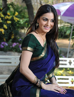 Shraddha Arya Latest Hot Photos in Saree