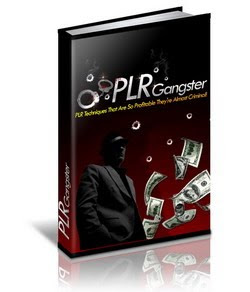 Private Label Rights (PLR) Gangster