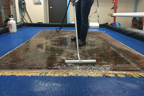 Regular Carpet Cleaning Viewbank