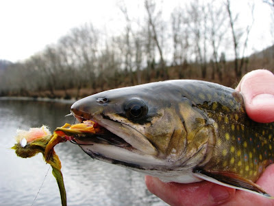 on the Caney Fork River