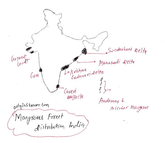 Areas having Mangrove forests India