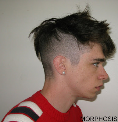 falls ja das hei t einfach undercut musst dem friseur nur sagen 