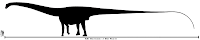 Dinosaure Amphicoelias