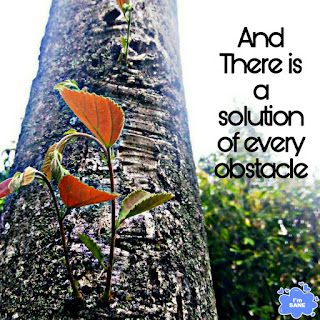 nature image with positive quote