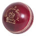 5 Interesting Questions about Cricket ball