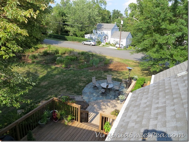 Yard View