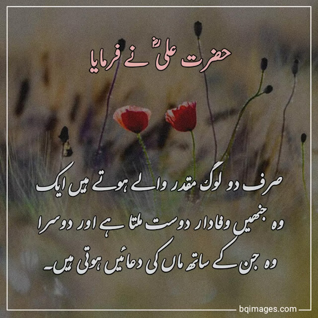 hazrat ali quotes in urdu for friends