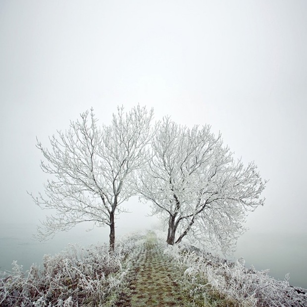 Road-on-snow