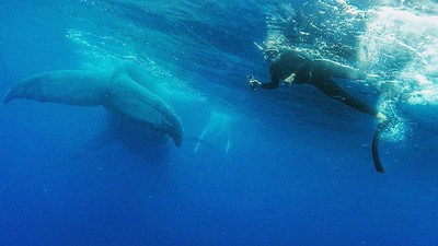 This Lucky Guy Was Photobombed By A Massive Whale