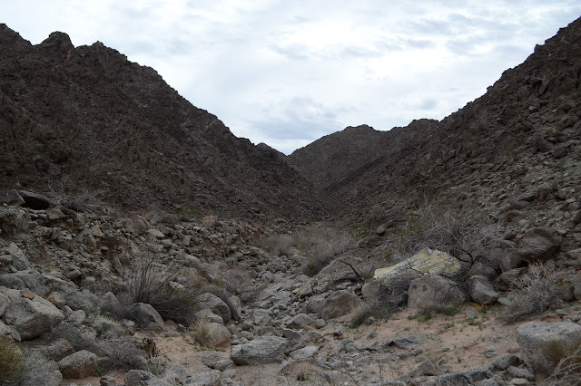 gentle rising wash full of strewn rocks