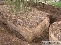 Barrier Bamboo6