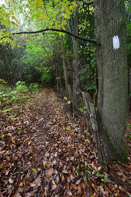 Bruce Trail Property Hiking path.