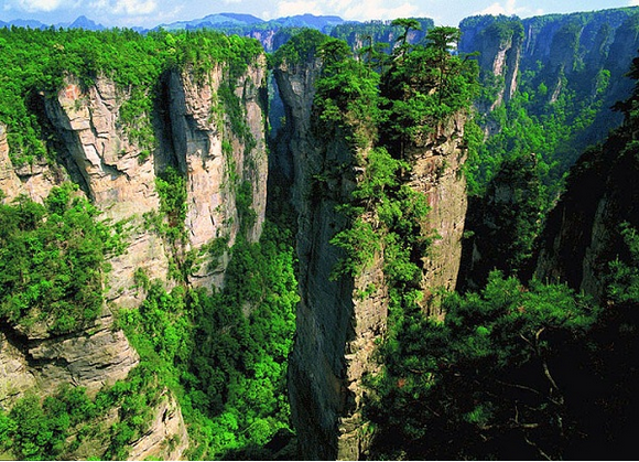 Taman bunga Nasional Zhangjiajie di China