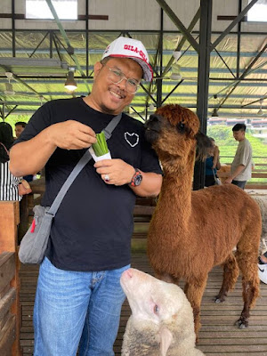 The Sheep Sanctuary Tempat Menarik di Cameron Highlands Wajib Pergi