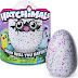 Are Hatchimals the latest fads of 2016?
