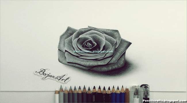 Pencil Drawings Of Roses And Hearts