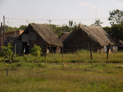 Saavedra